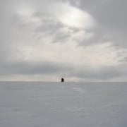 Expedition Member on the Horizon in Greenland Expedition Member on the Horizon in Greenland