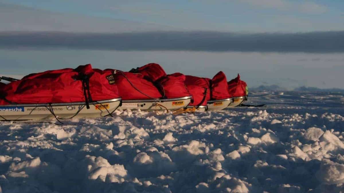 Sleds Lined up at the End of the Day