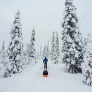 Kiruna 2019-02 SG (93) Kiruna 2019 02 SG 93 Sander Gold about the Arctic Reset in Lapland