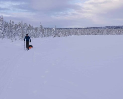P1160523 P1160523 Paul's experience in Sweden