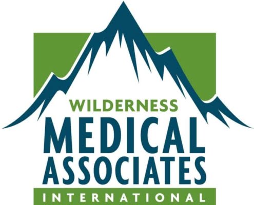 WMA international logo WMA international logo