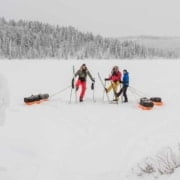 Expeditie in de sneeuw van Zweeds Lapland Expeditie in de sneeuw van Zweeds Lapland