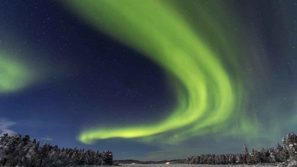 Kiruna 2019 02 SG 244 GRAND SLAM WITH HUSKIES