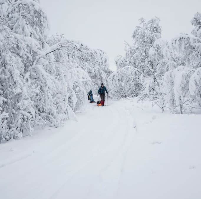 Kiruna 2019 02 SG 83 ARCTIC FAMILY EXPERIENCE