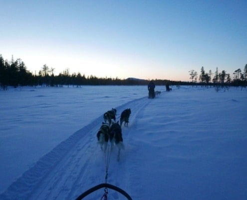 Arjen Treurniet met husky's in Zweden P1170178 Arjen's experience in Sweden