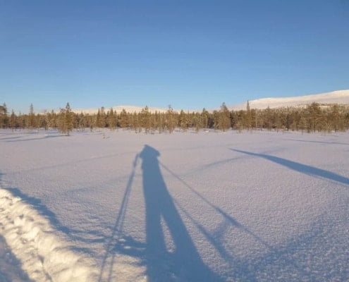 Long Shadow in the Snow