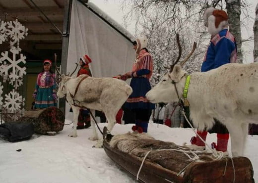 Top 10 voor je ultieme Zweden bucket list 16 Rendieren bij de markt in Jokkmokk