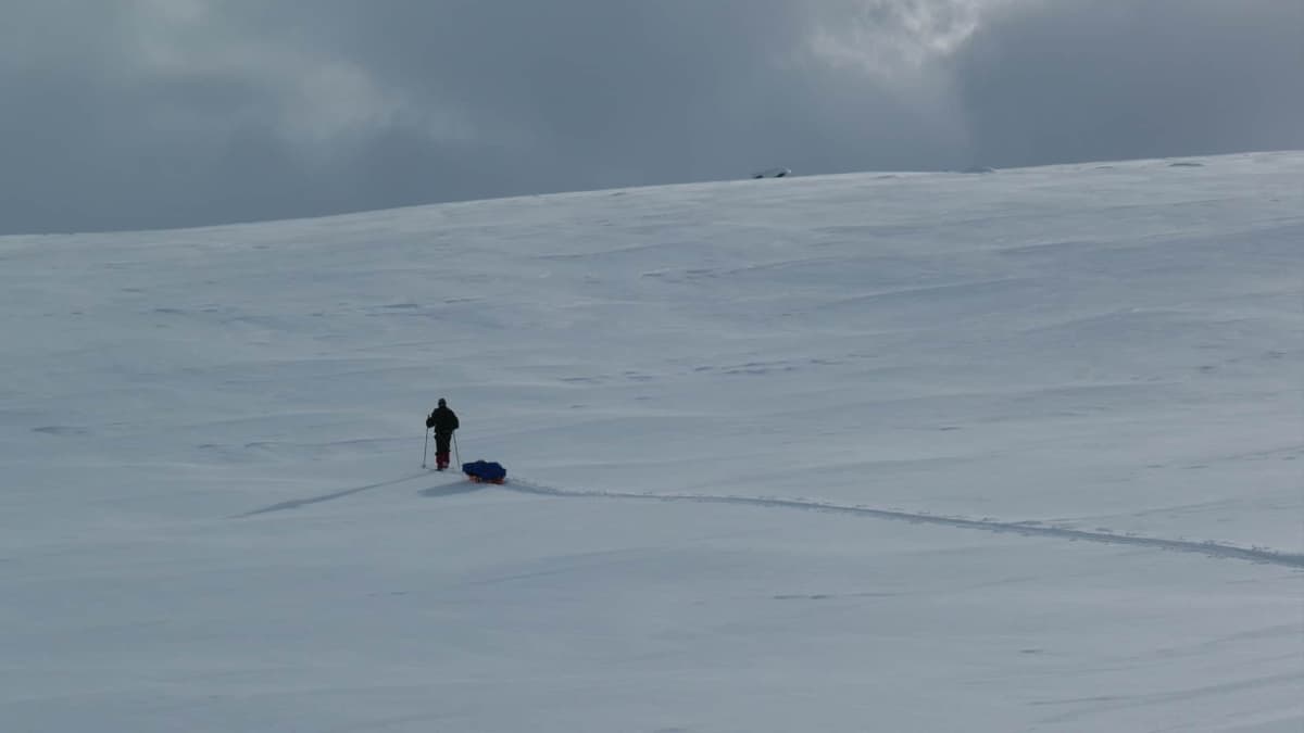 Ski Expedition in Winter in Swedish Lapland