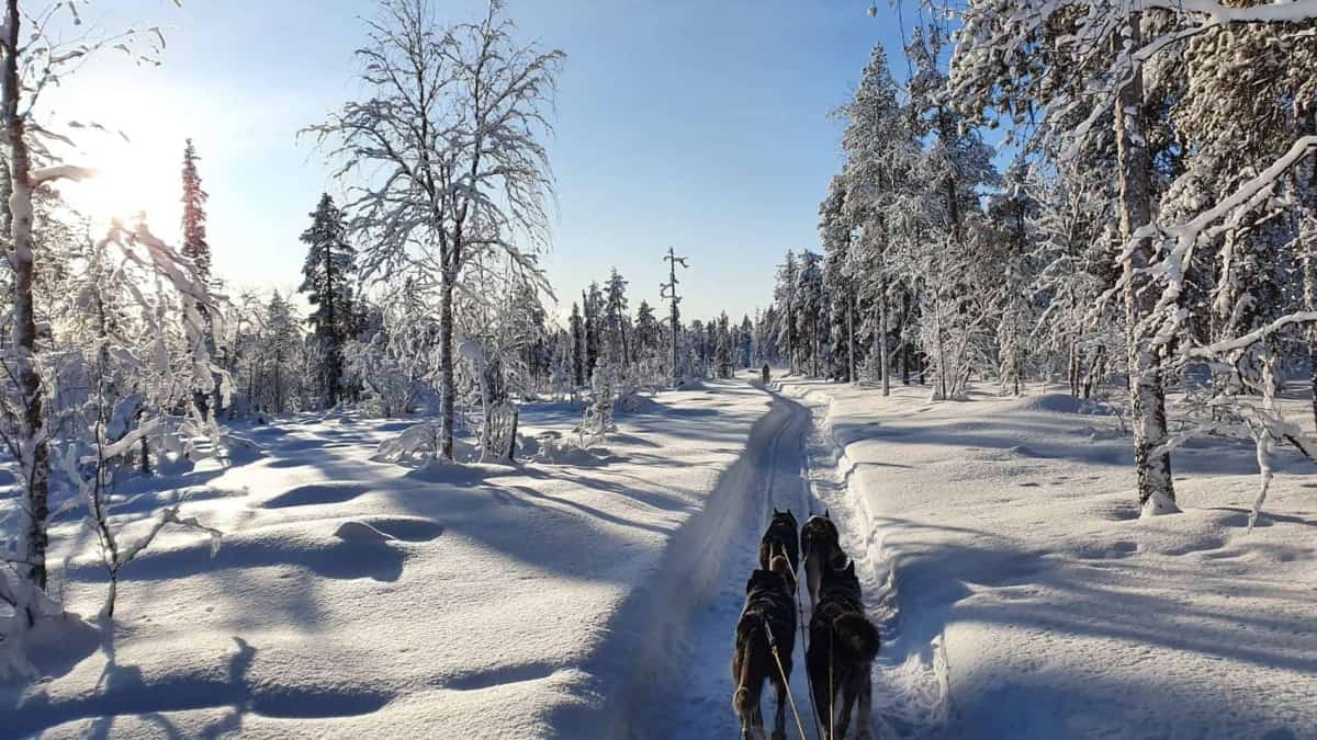 Arctic Adventure 2020 108 ARCTIC FAMILY EXPERIENCE