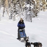 Arctic-Adventure-2020-141 Arctic Adventure 2020 141 Ariane Moussault on the Women Only Expedition in Lapland