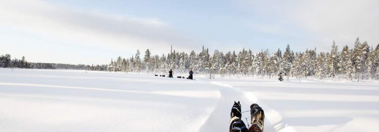 Arctic Adventure 2020 142 Eline Waalboer over de Women Only Expeditie in Zweden