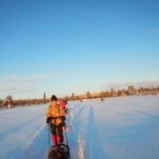 Arctic-Adventure-2020-151 Mensen lopen in een besneeuwd landschap en trekken sleeën met proviand onder een strakblauwe lucht.