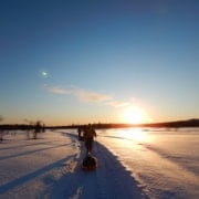 Arctic-Adventure-2020-152 Een persoon loopt bij zonsondergang in een besneeuwd landschap en trekt een slee over een pad.