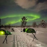 Tenten onder het Noorderlicht Twee groene tenten opgezet op besneeuwde grond onder de nachtelijke hemel, verlicht door de groene gloed van het noorderlicht, met bomen en skistokken op de achtergrond.