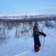 Paul Middelaar over de Arctic Break Out in Lapland 2 Een persoon in winteruitrusting staat in een besneeuwd landschap met schaarse bomen, houdt skistokken vast en is met een touw aan een slee vastgemaakt. Op de achtergrond zijn met sneeuw bedekte heuvels zichtbaar onder een helderblauwe lucht.