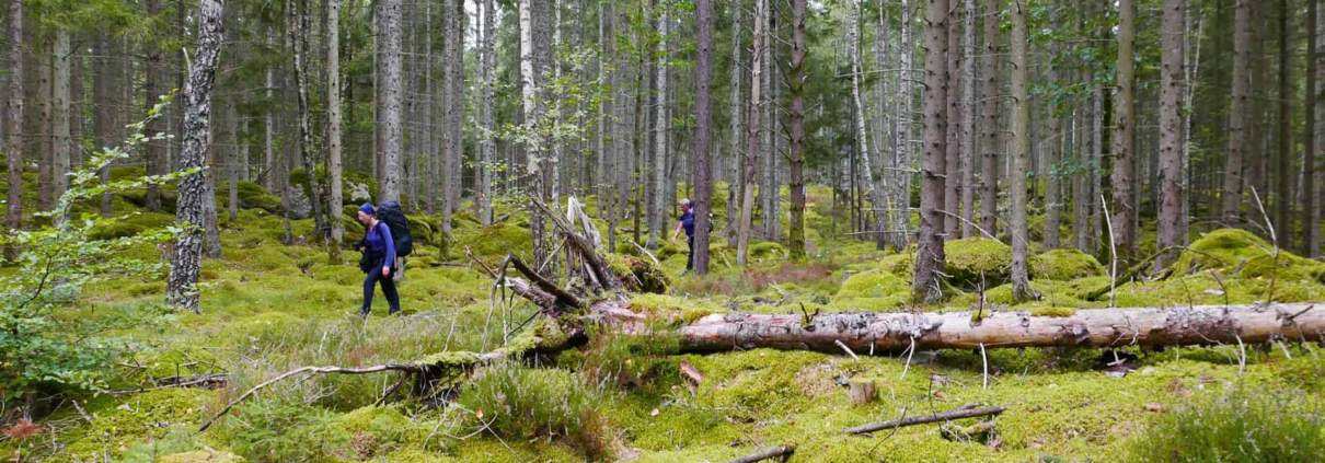 Maarten Van Koolwijk about the Canoe and Hike Trekking in Southern Sweden 1 Kano Wandel Trekking Zuid Zweden 2020 09 021 Maarten Van Koolwijk about the Canoe and Hike Trekking in Southern Sweden