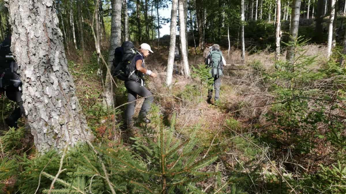Backpacking in southern Sweden in Blekinge and Skane