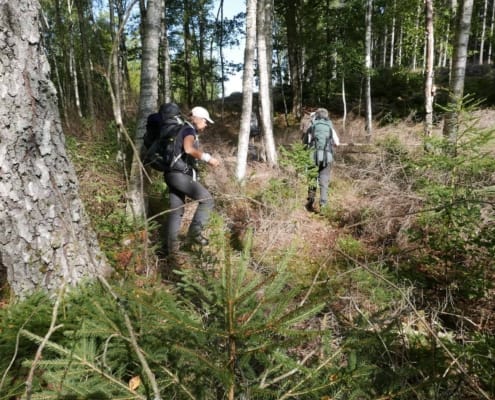 Backpacking in southern Sweden in Blekinge and Skane