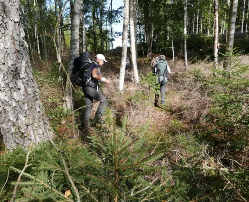 Rugzaktrenning in Zuid Zweden in Blekinge en Skane