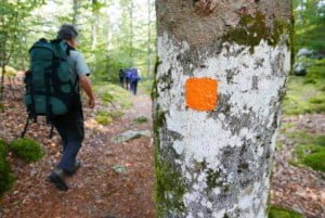 Autumn Canoeing & Hiking Trekking in Southern Sweden 13 Kano Wandel Trekking Zuid Zweden 2020 09 028 Autumn Canoeing & Hiking Trekking in Southern Sweden