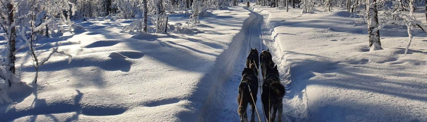 Arctic Adventure Winter Expeditie 34 ARCTIC ESCAPE