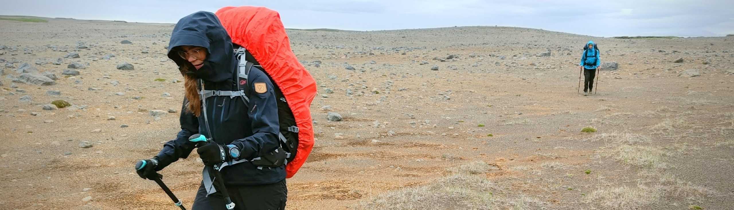 Trektocht in de buurt van Dettifoss IJsland
