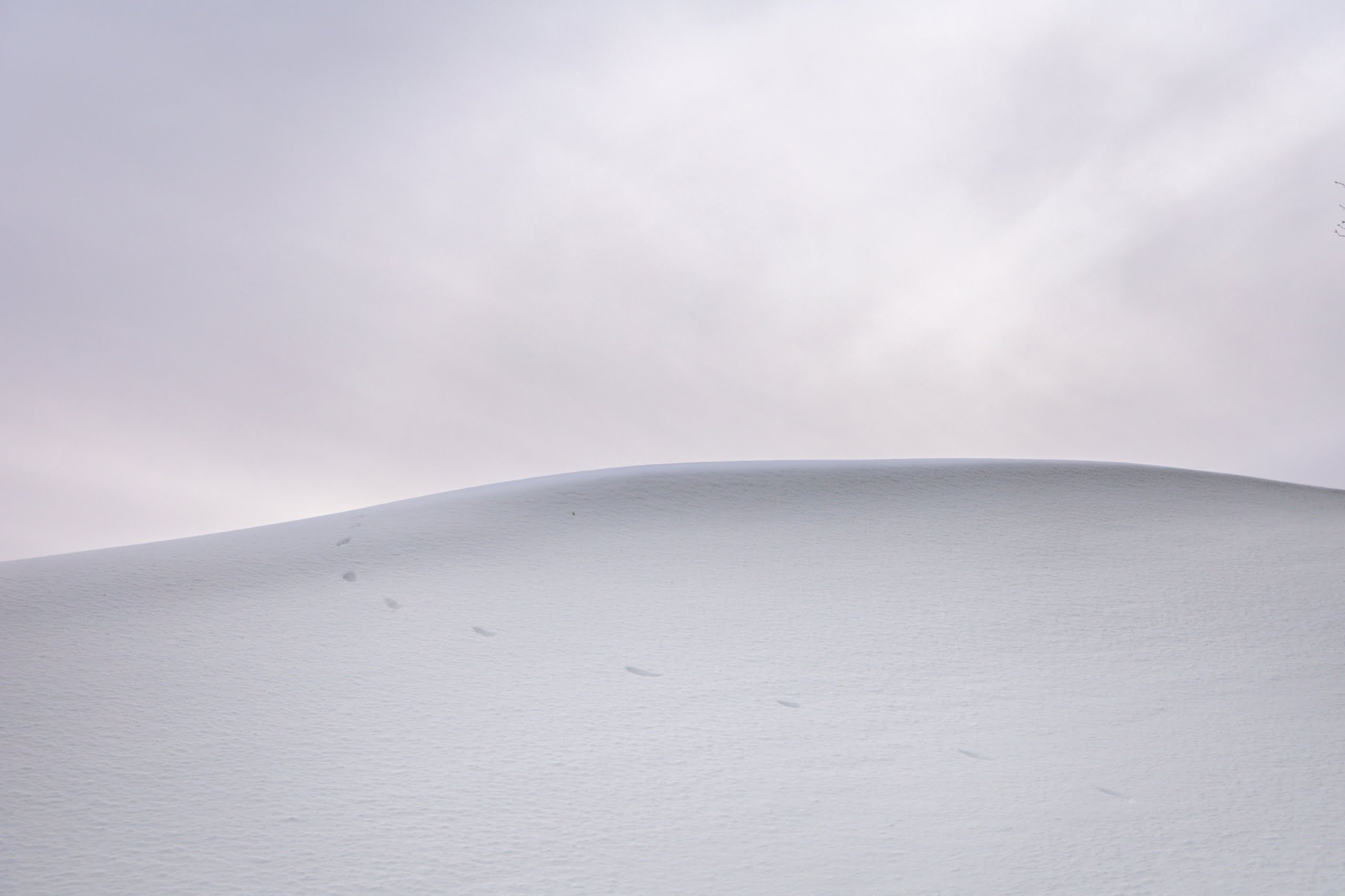 Forward through a white snowball 2 hans isaacson 5KnoLir1h3g unsplash scaled Forward through a white snowball