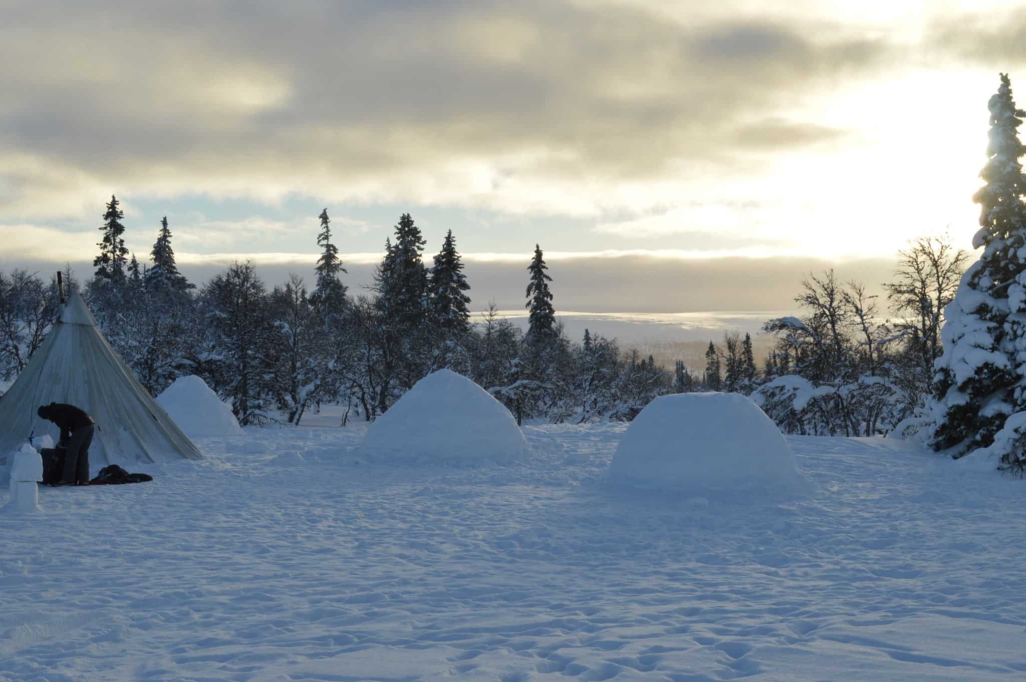 Arctic Nomands Arctic Adventure 17 1 PILOT: ARCTIC NOMADS