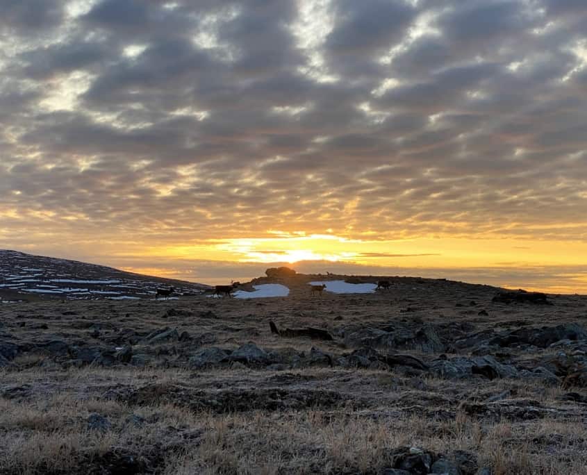 Ultimate Sarek Traverse Lapland Zweden 20 Op expeditie door Sarek in Lapland