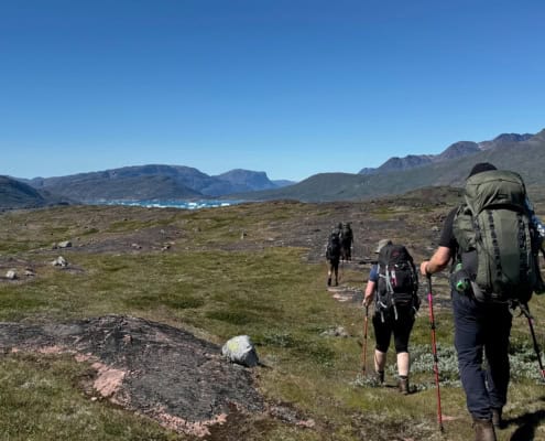 Viking Saga Trekking in Groenland 71 THE VIKING SAGA