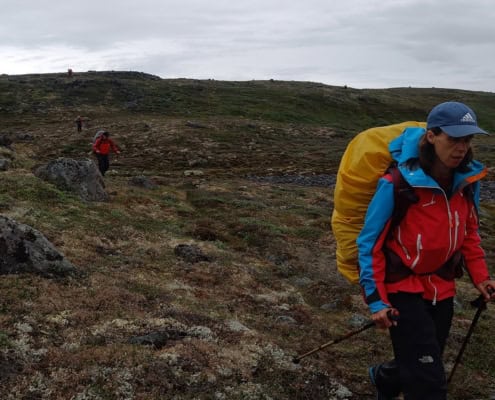 Viking Saga Trekking in Groenland 89 THE VIKING SAGA