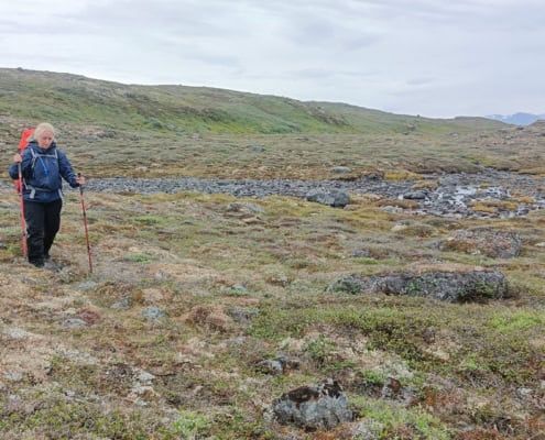 Viking Saga Trekking in Groenland 92 THE VIKING SAGA