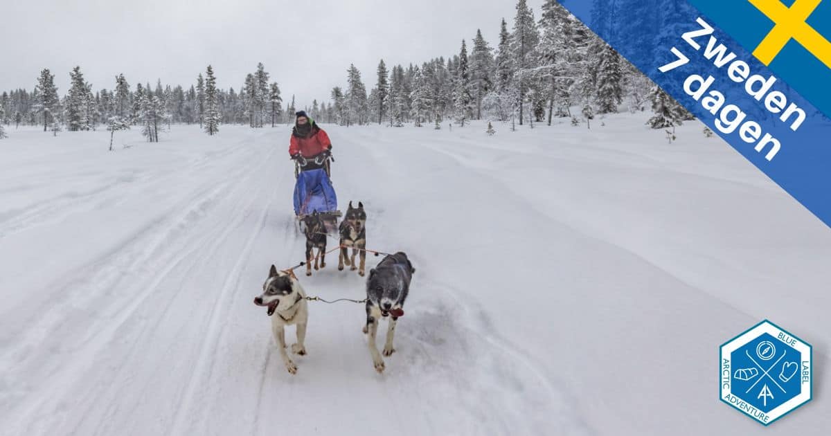 Ouder Kind Winter Expeditie