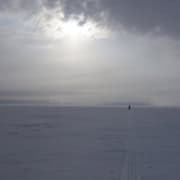 blog Rustige sneeuwvlakte met enkelspoor en een persoon in de verte tijdens bewolkt weer in de Arctic.