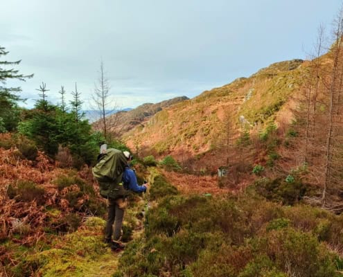 Grenzeloze natuur beleven tijdens een outdoor wandeling in de bergen in Nederland.