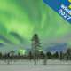 Northern lights above snowy forest in Sweden, winter 2027.