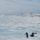 Vast ice plain with hikers and pulks on the Greenland Ice Sheet.