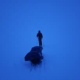 Avontuurlijke reiziger op slee met bagage in besneeuwd Groenland.