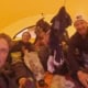 Veilig binnen de tent tijdens de Groenland-expeditie met teamleden en uitrusting.