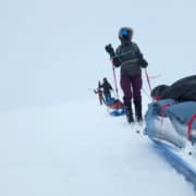 Groep avonturiers sleeën door de sneeuw in Groenland tijdens een expeditie.