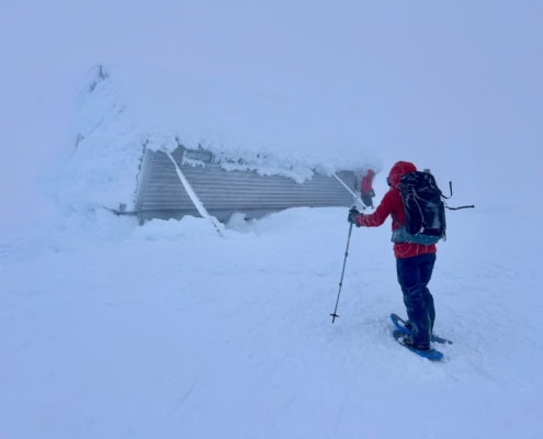 Avontuurlijke sneeuwwandeling met gids in besneeuwd landschap.